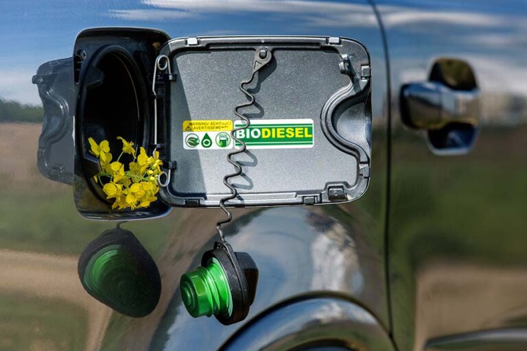 Biodiesel-tanken